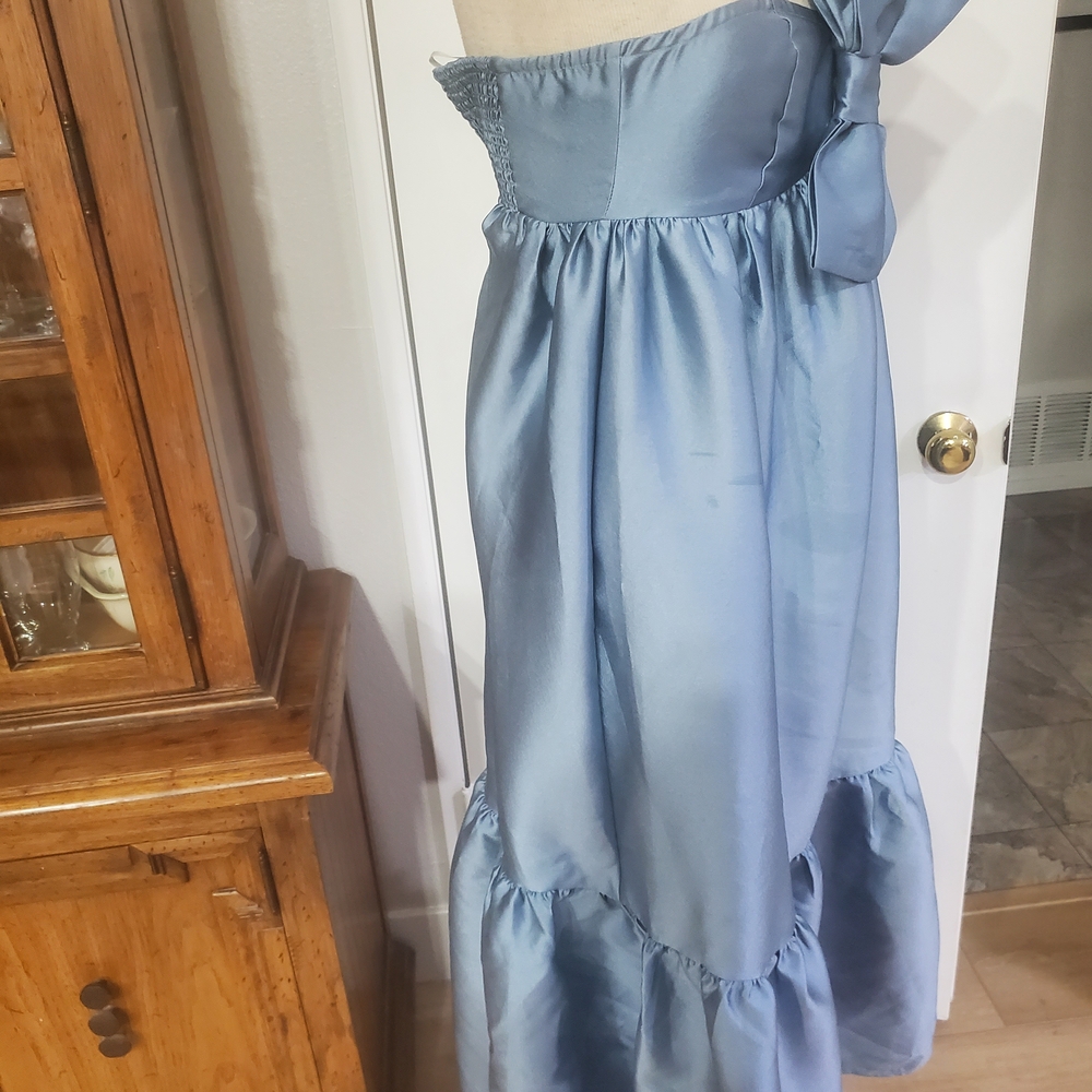 Petal & Pup Blue Maxi Dress - Picture 8 of 10